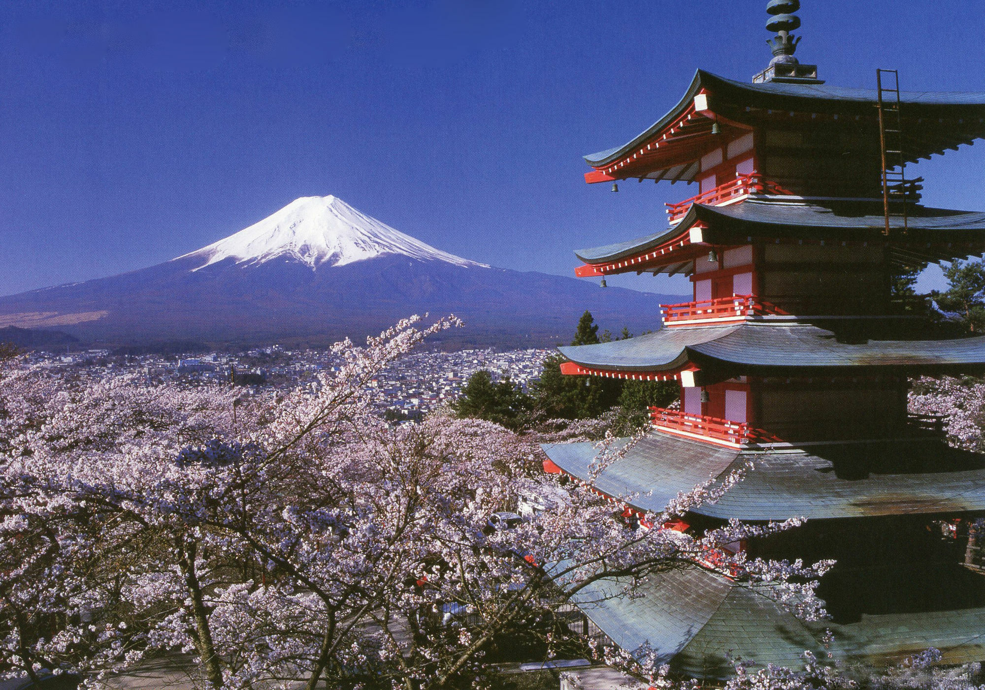 Mt Fuji Hostel Michael's Fudžijošida Exteriér fotografie